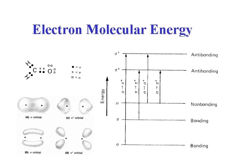 Electron Molecular Energy 
