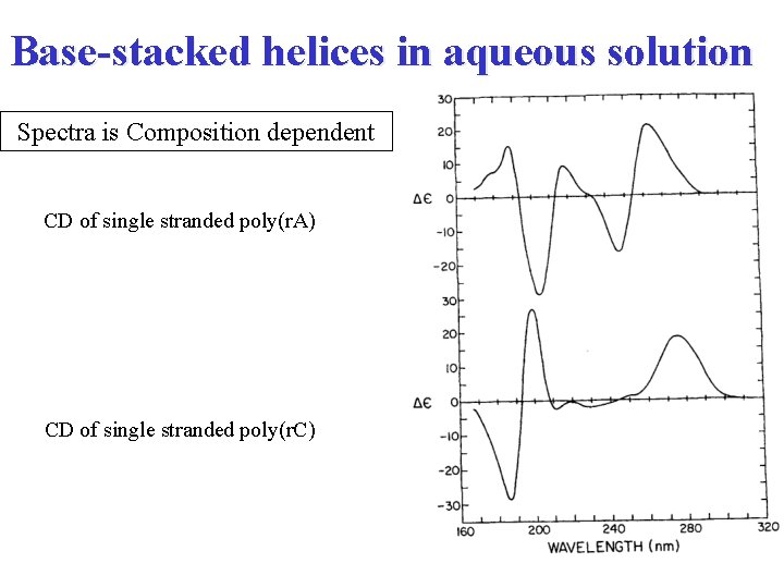 Base-stacked helices in aqueous solution Spectra is Composition dependent CD of single stranded poly(r.