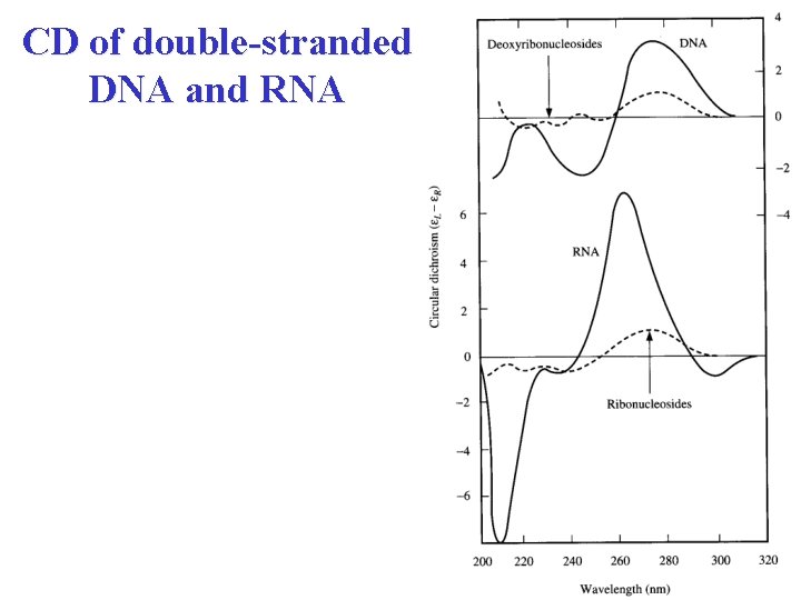 CD of double-stranded DNA and RNA 