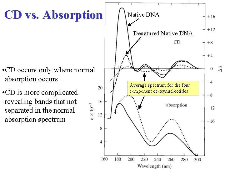 CD vs. Absorption Native DNA Denatured Native DNA • CD occurs only where normal