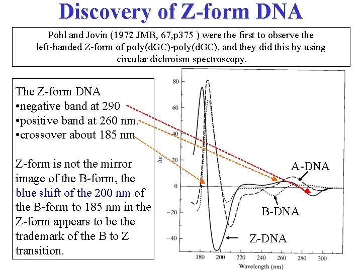 Discovery of Z-form DNA Pohl and Jovin (1972 JMB, 67, p 375 ) were