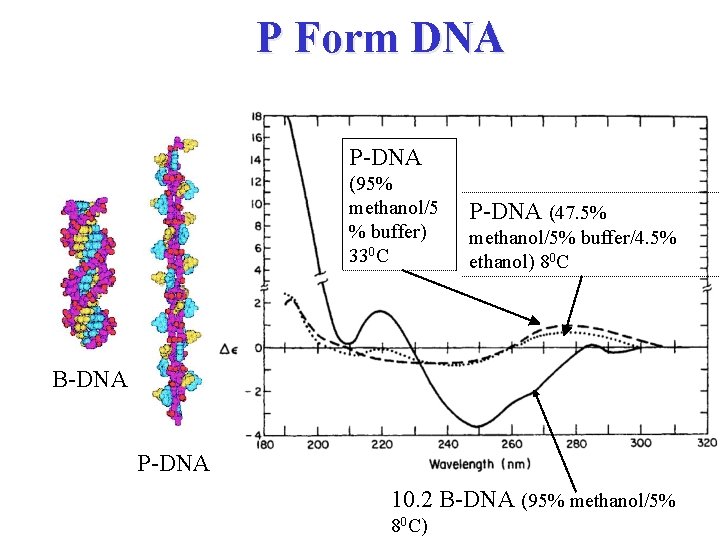 P Form DNA P-DNA (95% methanol/5 % buffer) 330 C P-DNA (47. 5% methanol/5%