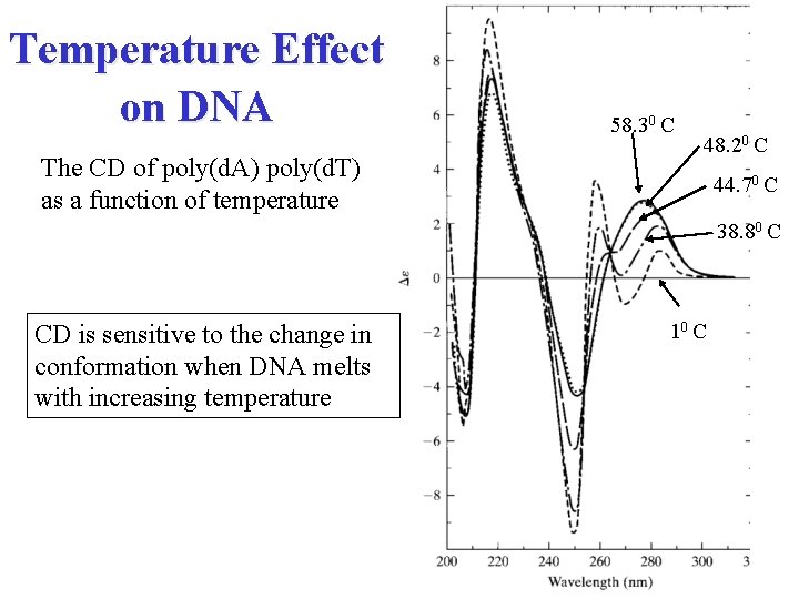 Temperature Effect on DNA The CD of poly(d. A) poly(d. T) as a function
