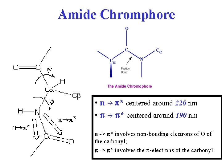Amide Chromphore • n p* centered around 220 nm • p p* centered around