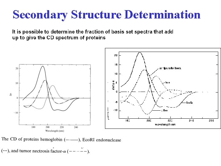 Secondary Structure Determination 