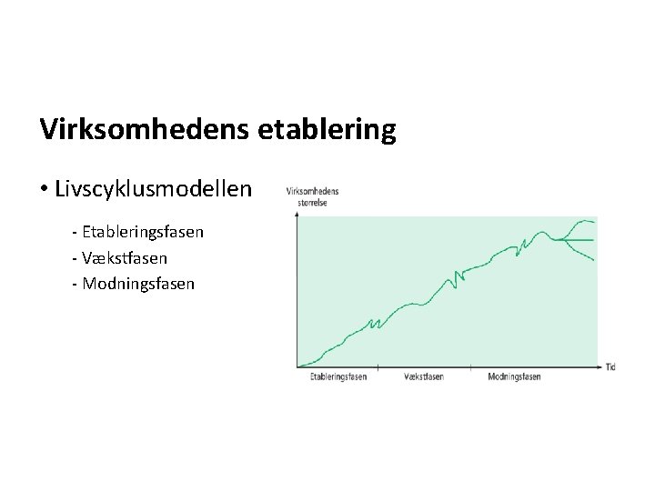 Virksomhedens etablering • Livscyklusmodellen - Etableringsfasen - Vækstfasen - Modningsfasen 