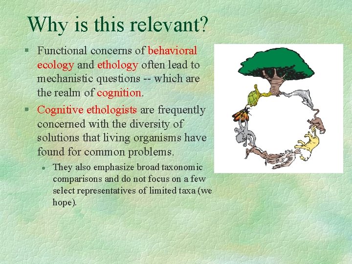 Why is this relevant? § Functional concerns of behavioral ecology and ethology often lead