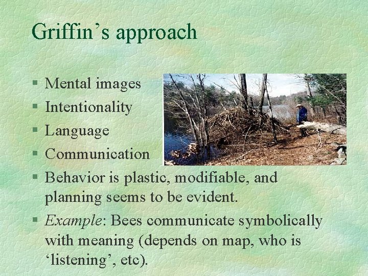 Griffin’s approach § § § Mental images Intentionality Language Communication Behavior is plastic, modifiable,