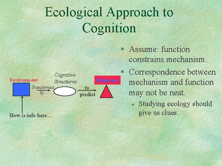 Ecological Approach to Cognition Environment Transformed by. . . Cognitive Structures § Assume: function