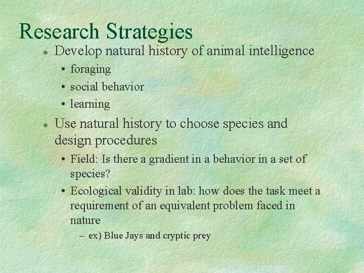 Research Strategies l Develop natural history of animal intelligence • foraging • social behavior