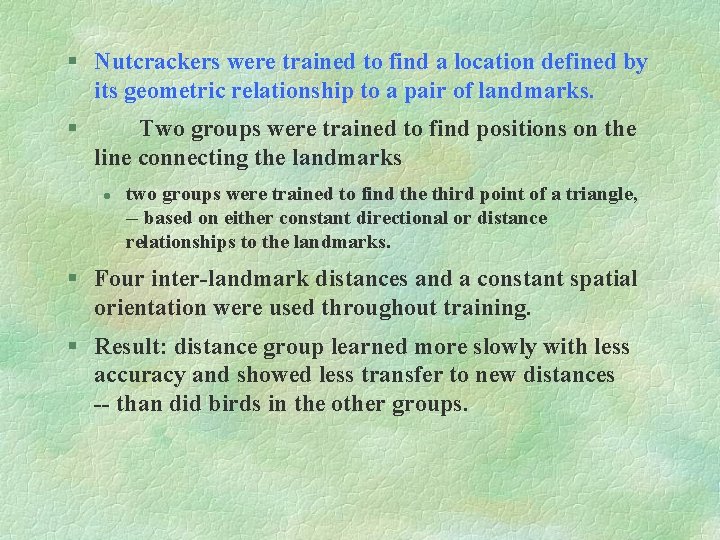 § Nutcrackers were trained to find a location defined by its geometric relationship to