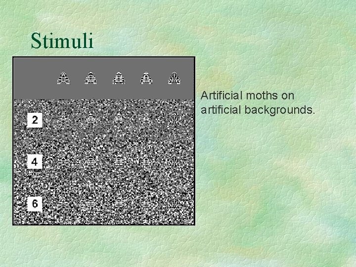 Stimuli § Artificial moths on artificial backgrounds. 