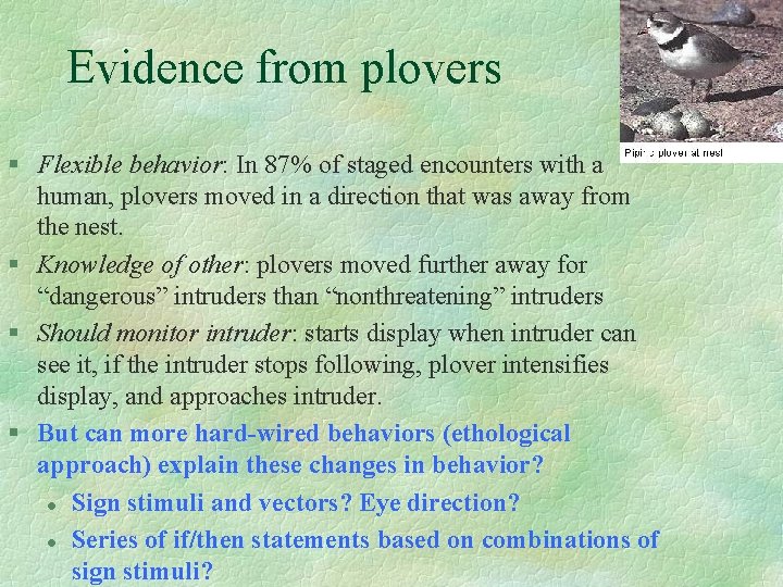 Evidence from plovers § Flexible behavior: In 87% of staged encounters with a human,