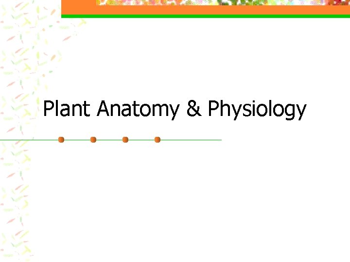 Plant Anatomy & Physiology 