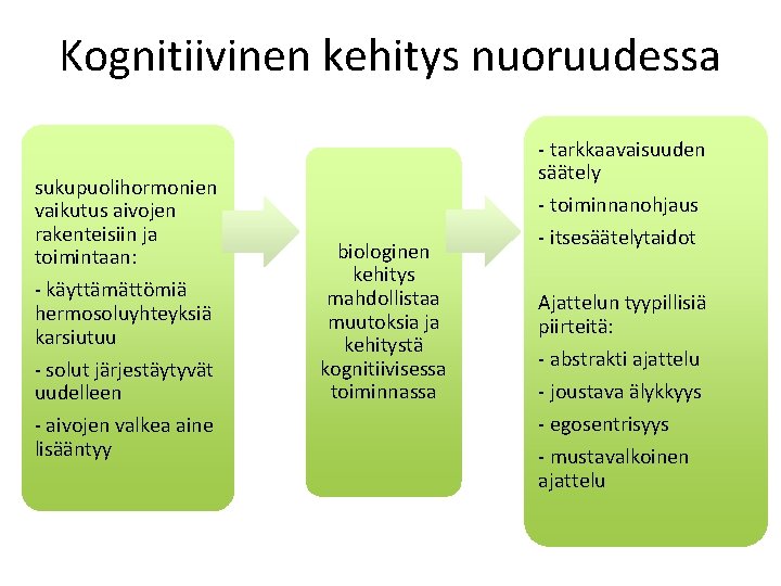 Kognitiivinen kehitys nuoruudessa sukupuolihormonien vaikutus aivojen rakenteisiin ja toimintaan: - käyttämättömiä hermosoluyhteyksiä karsiutuu -