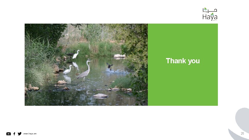 Thank you www. haya. om 25 