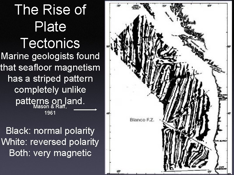 The Rise of Plate Tectonics Marine geologists found that seafloor magnetism has a striped