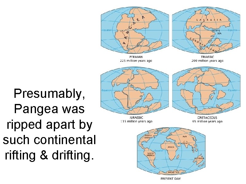 Presumably, Pangea was ripped apart by such continental rifting & drifting. 