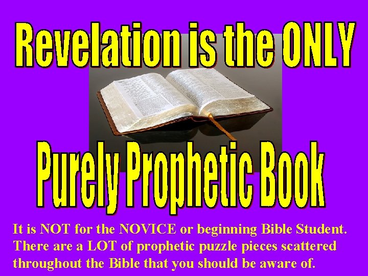 It is NOT for the NOVICE or beginning Bible Student. There a LOT of
