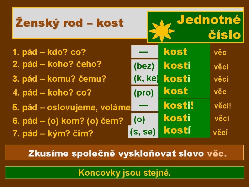 Jednotné číslo Ženský rod – kost 1. pád – kdo? co? 2. pád –