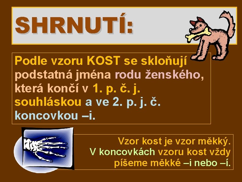 SHRNUTÍ: Podle vzoru KOST se skloňují podstatná jména rodu ženského, která končí v 1.