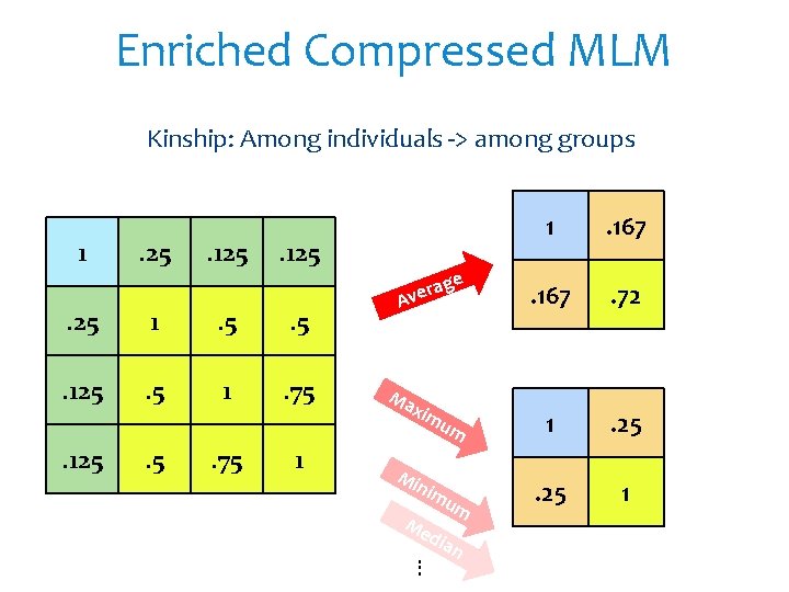Enriched Compressed MLM Kinship: Among individuals -> among groups 1 . 25 . 125 Enriched Compressed MLM Kinship: Among individuals -> among groups 1 . 25 . 125