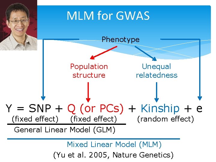 MLM for GWAS Phenotype Population structure Unequal relatedness Y = SNP + Q (or MLM for GWAS Phenotype Population structure Unequal relatedness Y = SNP + Q (or