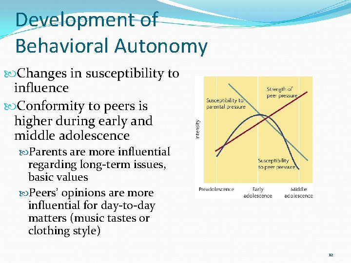 Development of Behavioral Autonomy Changes in susceptibility to influence Conformity to peers is higher