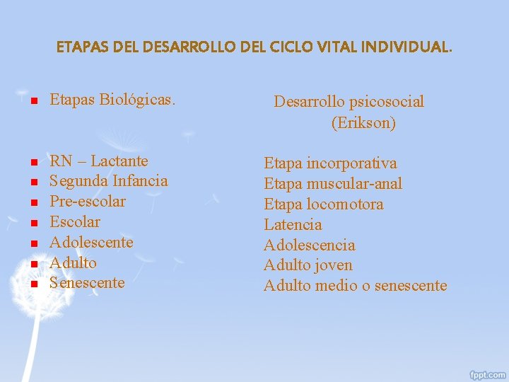 ETAPAS DEL DESARROLLO DEL CICLO VITAL INDIVIDUAL. n n n n Etapas Biológicas. RN