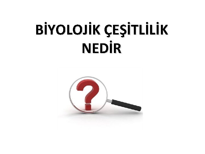 BİYOLOJİK ÇEŞİTLİLİK NEDİR 