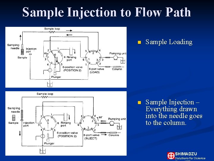 Sample Injection to Flow Path n Sample Loading n Sample Injection – Everything drawn Sample Injection to Flow Path n Sample Loading n Sample Injection – Everything drawn