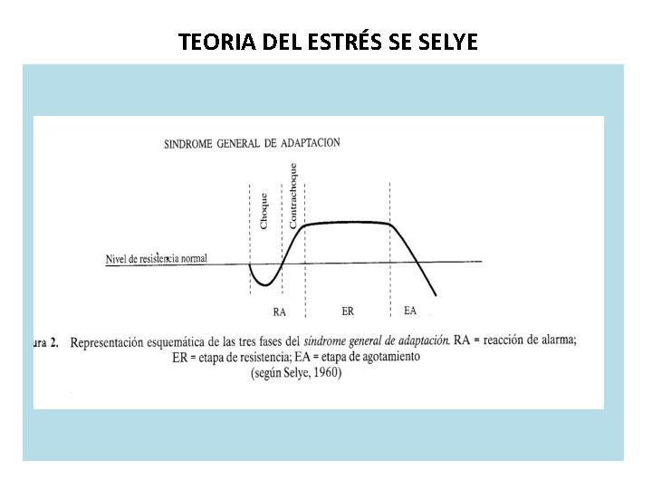 TEORIA DEL ESTRÉS SE SELYE 