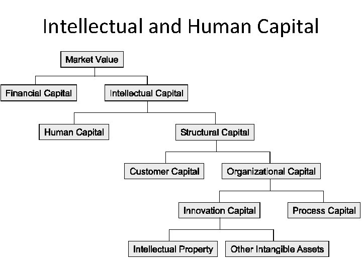 Intellectual and Human Capital 