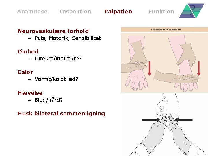 Anamnese Inspektion Palpation Neurovaskulære forhold – Puls, Motorik, Sensibilitet Ømhed – Direkte/indirekte? Calor –