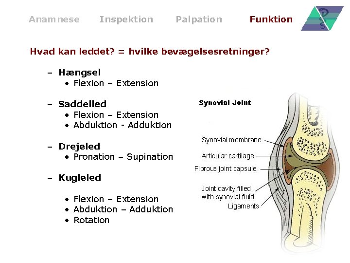 Anamnese Inspektion Palpation Funktion Hvad kan leddet? = hvilke bevægelsesretninger? – Hængsel • Flexion