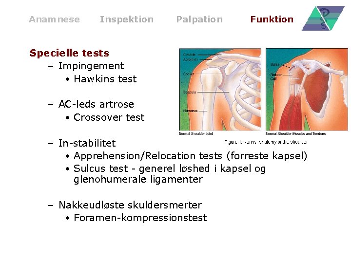 Anamnese Inspektion Palpation Funktion Specielle tests – Impingement • Hawkins test – AC-leds artrose