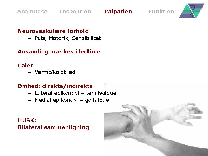 Anamnese Inspektion Palpation Neurovaskulære forhold – Puls, Motorik, Sensibilitet Ansamling mærkes i ledlinie Calor