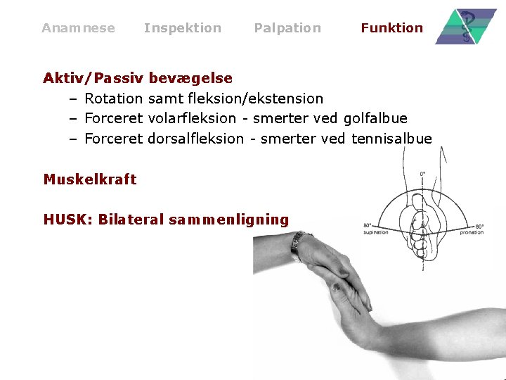 Anamnese Inspektion Palpation Funktion Aktiv/Passiv bevægelse – Rotation samt fleksion/ekstension – Forceret volarfleksion -