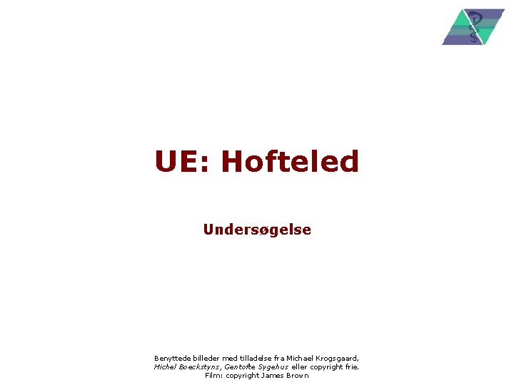 UE: Hofteled Undersøgelse Benyttede billeder med tilladelse fra Michael Krogsgaard, Michel Boeckstyns, Gentofte Sygehus
