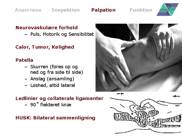 Anamnese Inspektion Palpation Neurovaskulære forhold – Puls, Motorik og Sensibilitet Calor, Tumor, Kølighed Patella