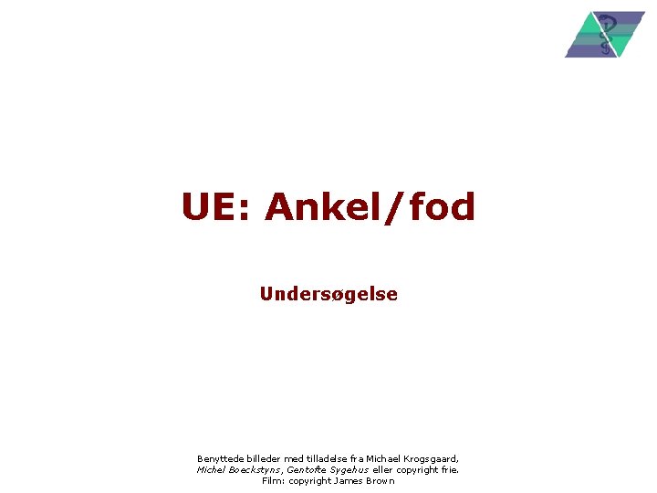 UE: Ankel/fod Undersøgelse Benyttede billeder med tilladelse fra Michael Krogsgaard, Michel Boeckstyns, Gentofte Sygehus