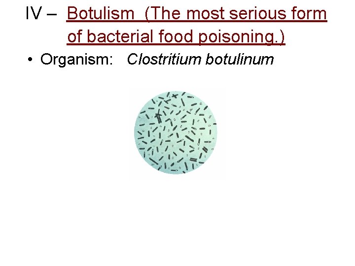 IV – Botulism (The most serious form of bacterial food poisoning. ) • Organism: