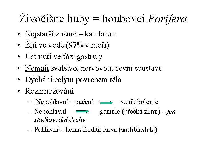 Živočišné huby = houbovci Porifera • • • Nejstarší známé – kambrium Žijí ve