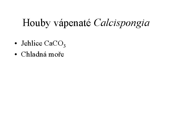 Houby vápenaté Calcispongia • Jehlice Ca. CO 3 • Chladná moře 