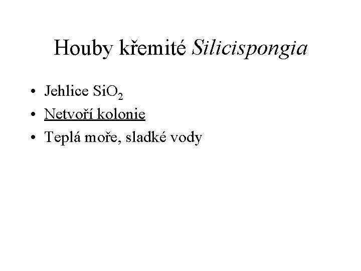 Houby křemité Silicispongia • Jehlice Si. O 2 • Netvoří kolonie • Teplá moře,