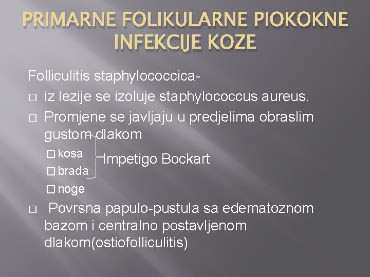 PRIMARNE FOLIKULARNE PIOKOKNE INFEKCIJE KOZE Folliculitis staphylococcica� iz lezije se izoluje staphylococcus aureus. �