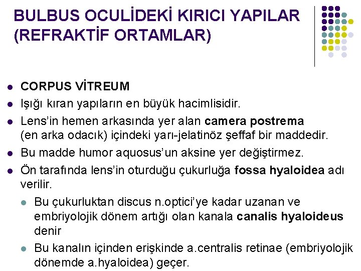 BULBUS OCULİDEKİ KIRICI YAPILAR (REFRAKTİF ORTAMLAR) l l l CORPUS VİTREUM Işığı kıran yapıların