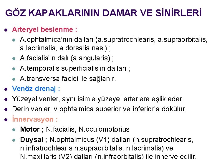 GÖZ KAPAKLARININ DAMAR VE SİNİRLERİ l l l Arteryel beslenme : l A. ophtalmica’nın