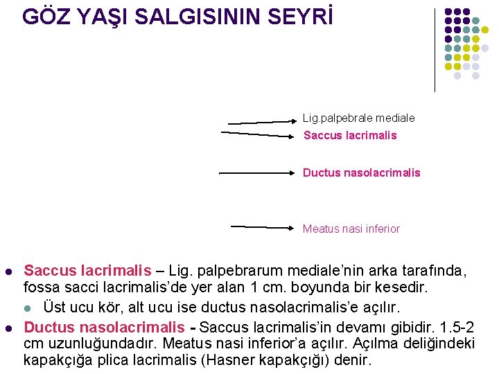 GÖZ YAŞI SALGISININ SEYRİ Lig. palpebrale mediale Saccus lacrimalis Ductus nasolacrimalis Meatus nasi inferior