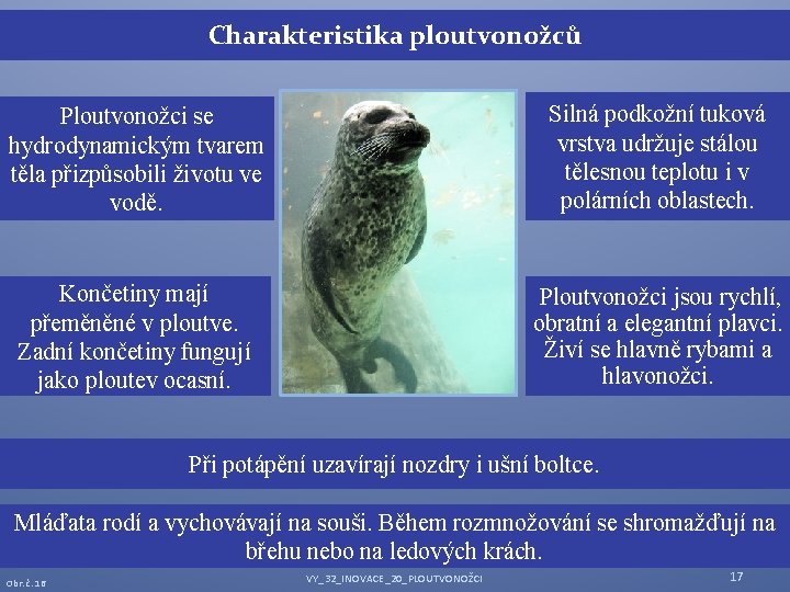 Charakteristika ploutvonožců Ploutvonožci se hydrodynamickým tvarem těla přizpůsobili životu ve vodě. Silná podkožní tuková